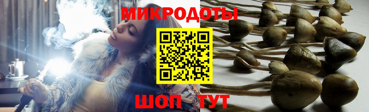 Асино  Псилоцибиновые грибы мухоморы  Вход с VPN 
